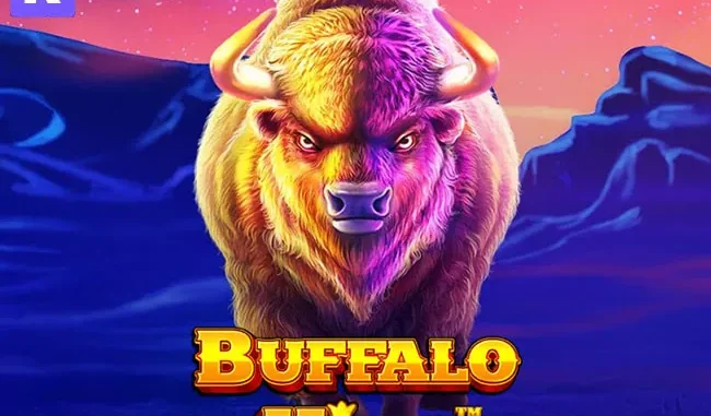 Buffalo King Şansın Peşinde Koşmak